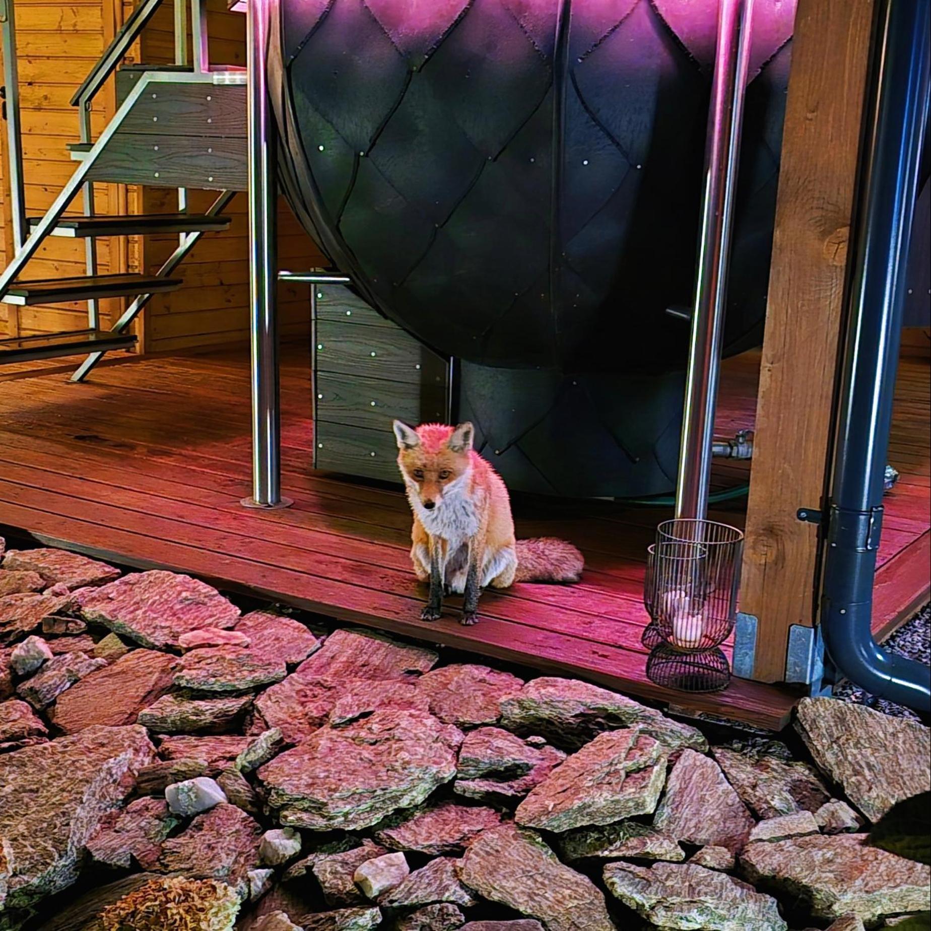 Osada Orlica Klimatyczne Domki Z Widokiem Na Gory I Termalnym Spa Sauna Jacuzzi 4 Km Od Zieleniec Ski Arena Lasowka Exterior photo